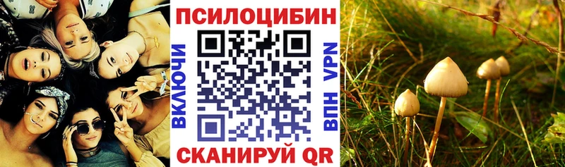 кракен как войти  Буинск  Псилоцибиновые грибы MAGIC MUSHROOMS 